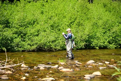 DSC_0220 (Large).JPG